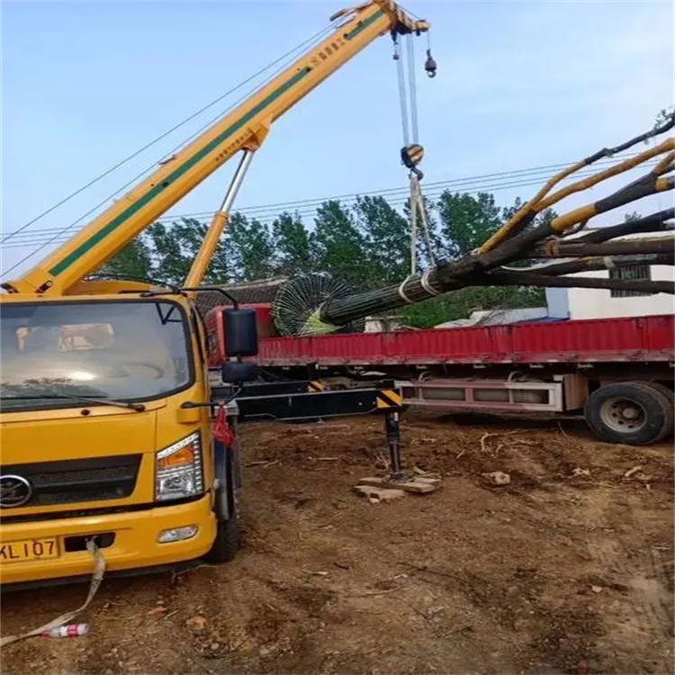 干驿镇100吨吊车租赁费用怎么算？3大关键因素+省钱技巧全解析